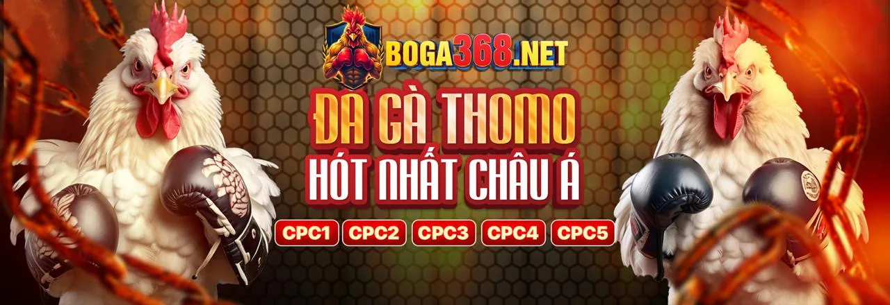 Hướng dẫn và chiến lược chơi game bài